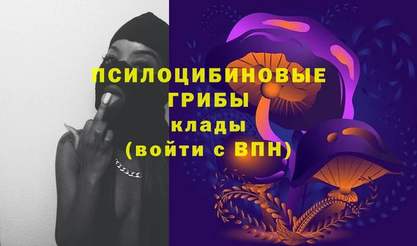 СК Новокубанск
