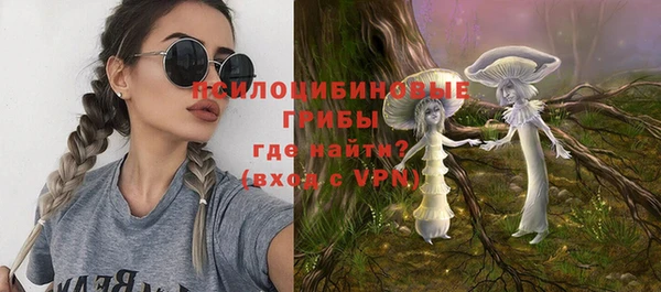 ешки Рославль