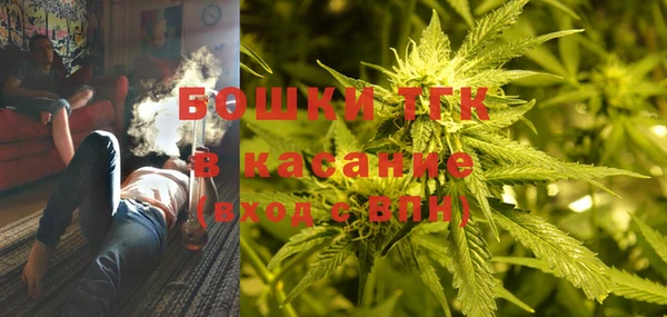 прущие крисы Новодвинск