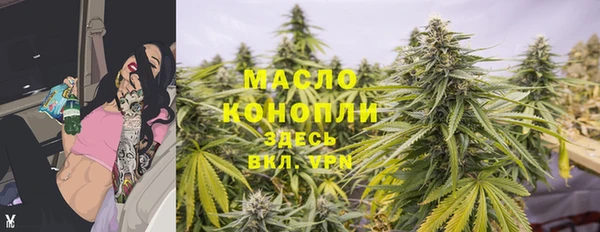 ПСИЛОЦИБИНОВЫЕ ГРИБЫ Новозыбков