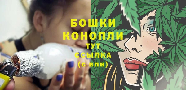 ПСИЛОЦИБИНОВЫЕ ГРИБЫ Новозыбков
