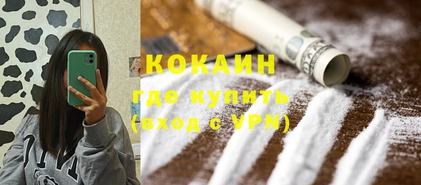 ПСИЛОЦИБИНОВЫЕ ГРИБЫ Новозыбков