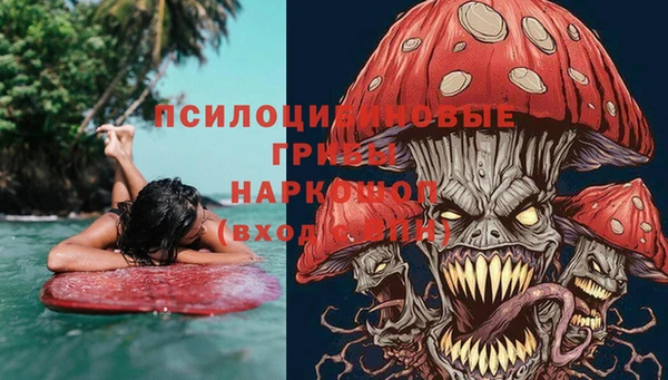 прущие крисы Новодвинск