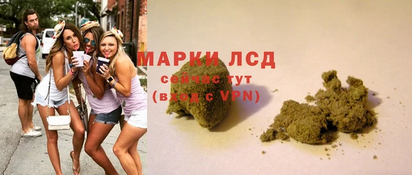 ПСИЛОЦИБИНОВЫЕ ГРИБЫ Новозыбков