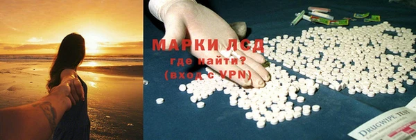 ПСИЛОЦИБИНОВЫЕ ГРИБЫ Новозыбков
