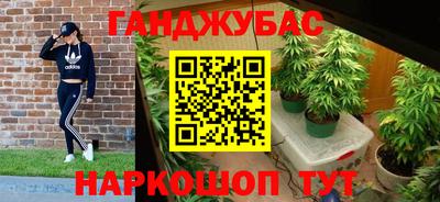 сатива Гусиноозёрск