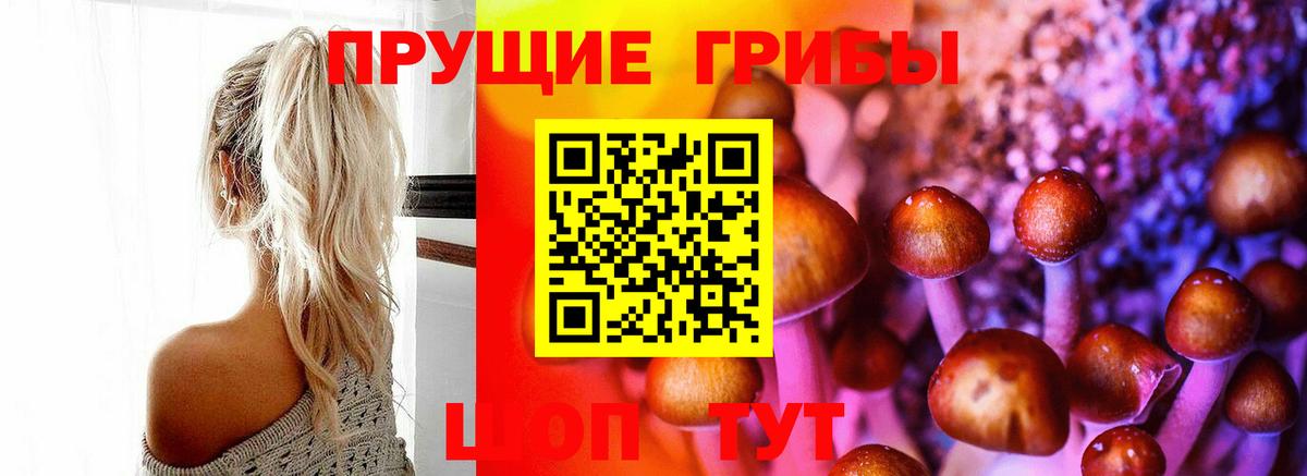 Галлюциногенные грибы MAGIC MUSHROOMS Железногорск