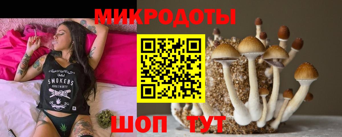 Псилоцибиновые грибы Psilocybe  Железногорск  Псилоцибиновые грибы мицелий 